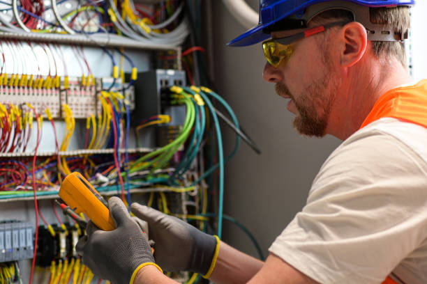 Best Electric Panel Repair  in Tainter Lake, WI